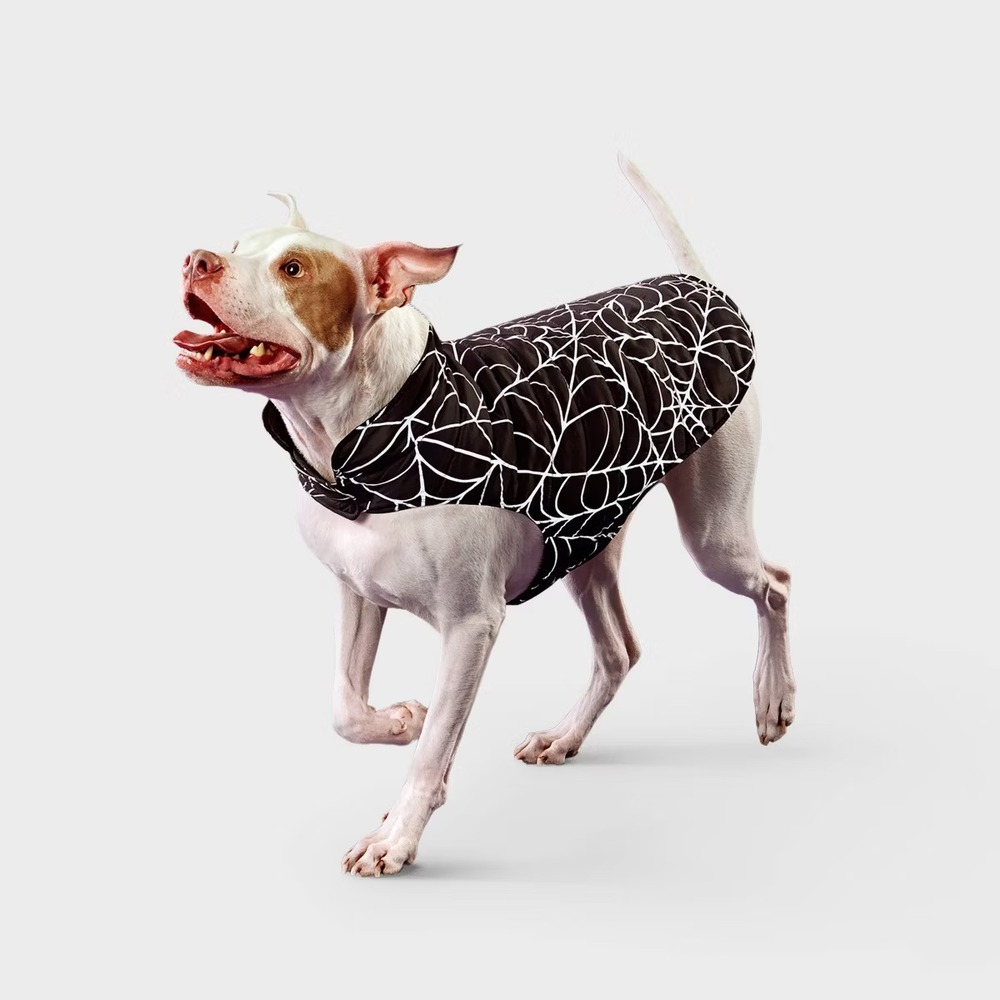 Boots & Barkley Reflective Spiderweb Dog Vest Halloween Safety Pet Costume XS